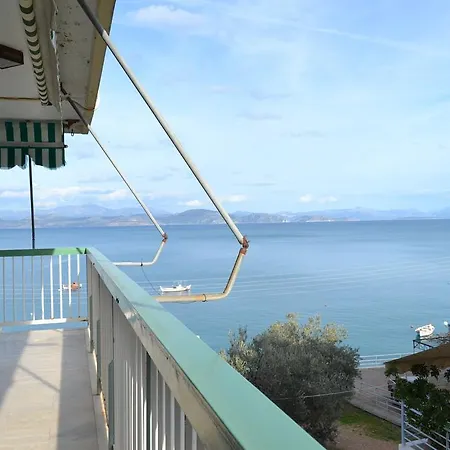 Oniro 시로피가도